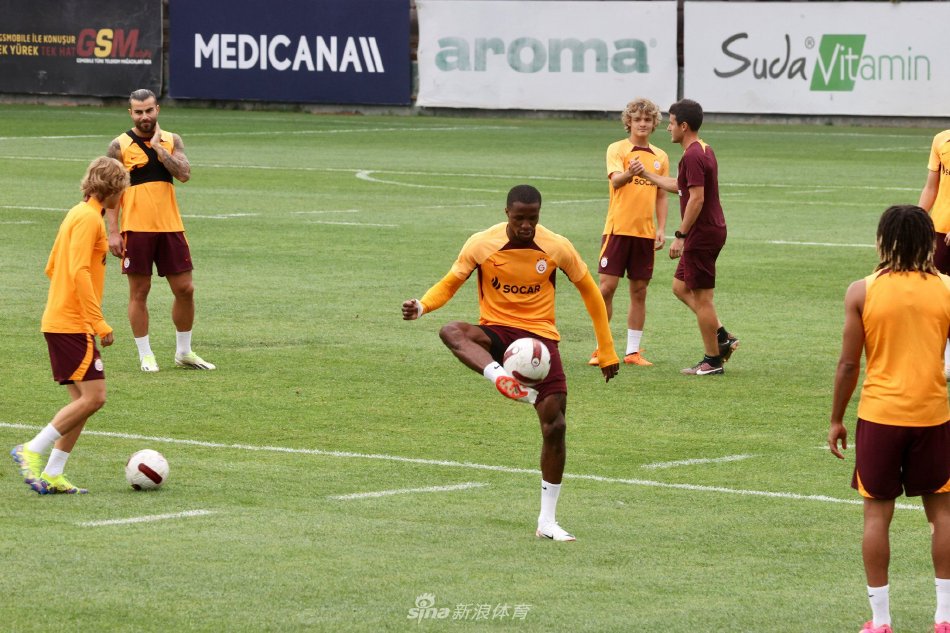 队和球迷无 队和球迷无